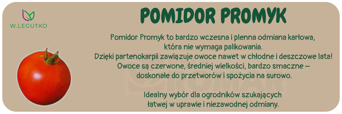 Nasiona pomidora Promyk 0.50g – W. Legutko, bardzo wczesna i plenna odmiana